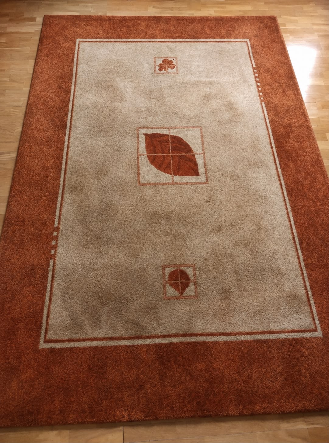 Limpieza de alfombra - antes